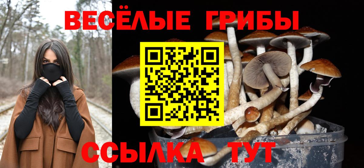Галлюциногенные грибы прущие грибы Дальнереченск