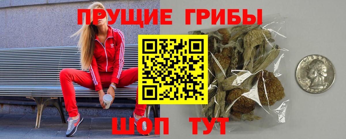 Дальнереченск  Псилоцибиновые грибы ЛСД  Вход с VPN 